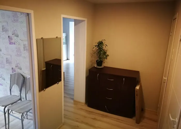 Light One Room Apartment