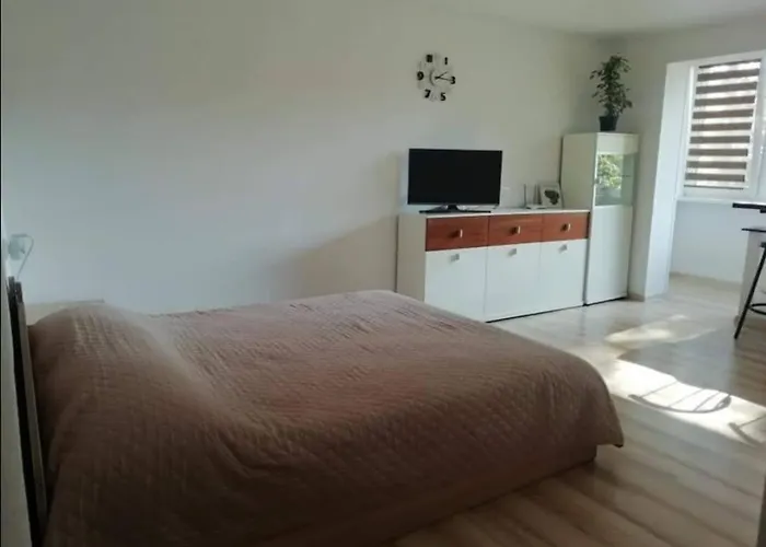 Light One Room Apartment